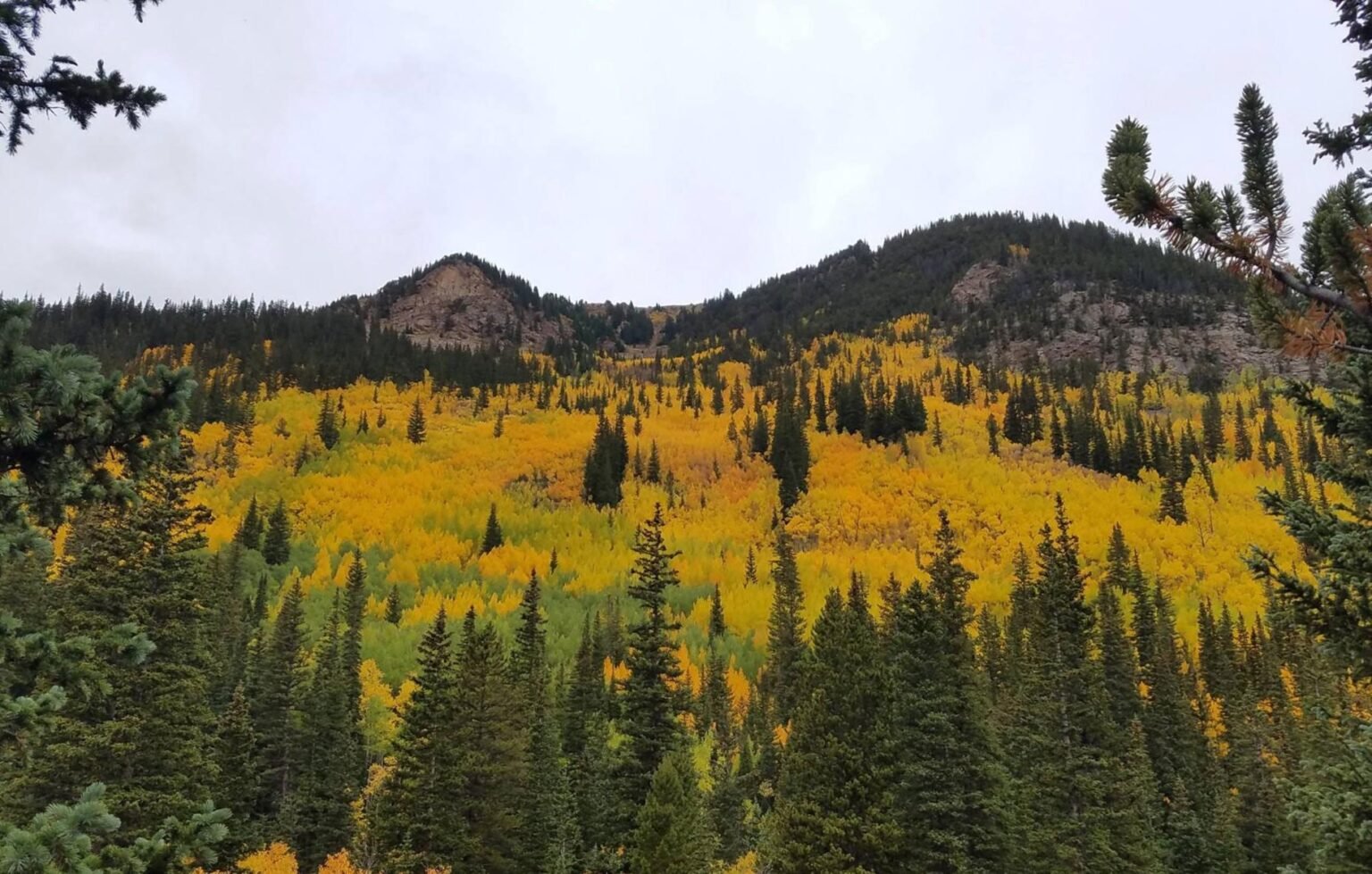 Guanella Pass Fall Colors